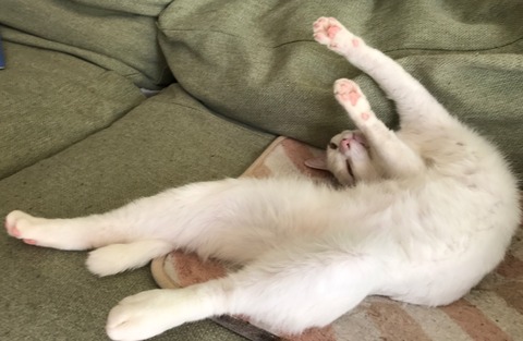 2017-02-19 13.19.44-2