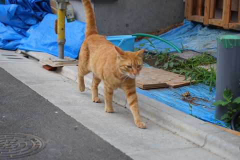 DSC02090