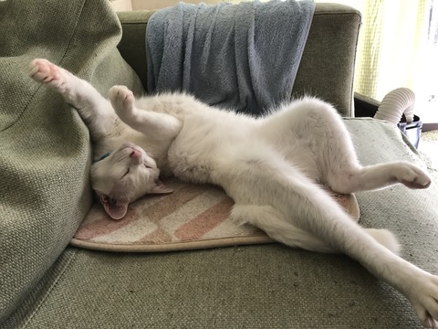 2017-02-19 13.17.03-1