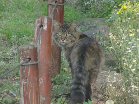 DSC00088