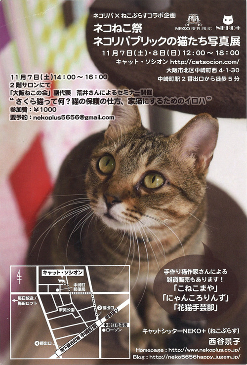 ネコねこ祭