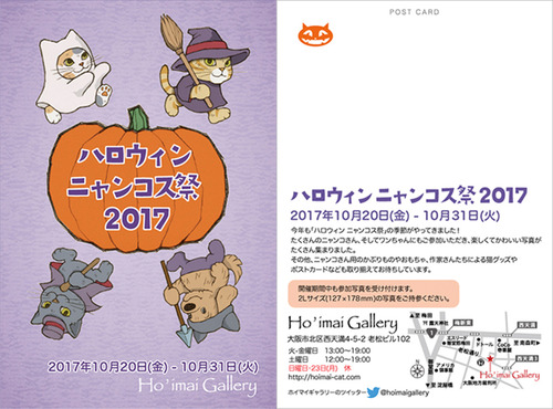 ¥Ë¥ã¥ó¥³¥¹º×2017