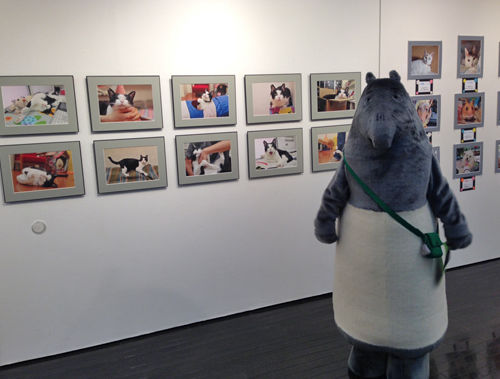 写真展