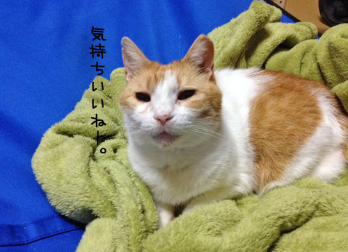 写真 3