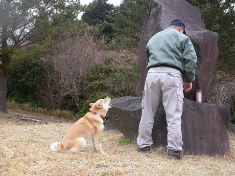 DSCN7225 (1)