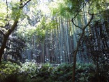 DSC00253