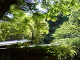 DSC00254
