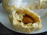 DSCN0584