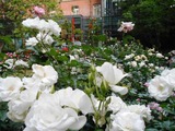 DSCN2156