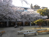 DSCN4990