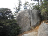 DSCN5068