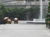 DSCN0529