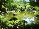 DSC00395