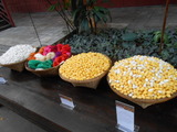 DSCN0649