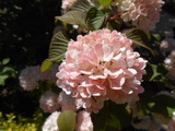 DSCN1890