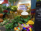 DSCN5350