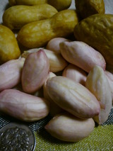 DSC00421