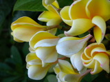 DSCN3371