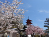 DSCN5015