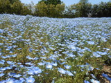 DSCN1871