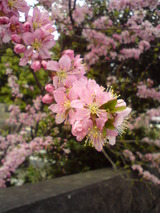 DSC00195