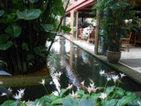 DSCN0646
