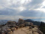 DSCN5067