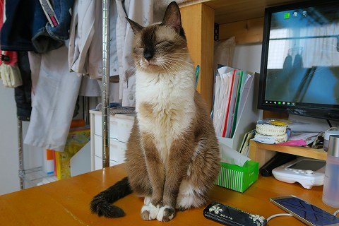 IMG_0016