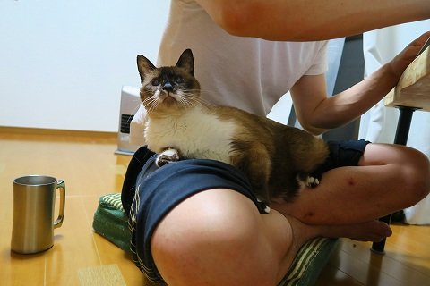 IMG_0038