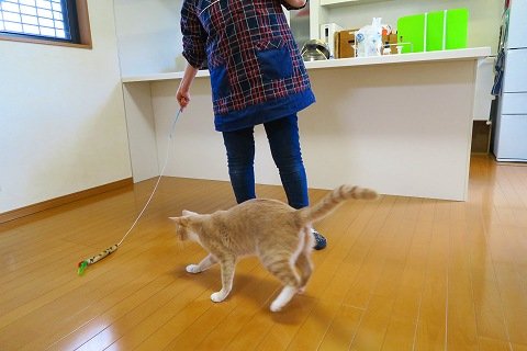 IMG_0069