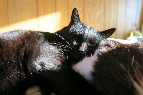 IMG_4751
