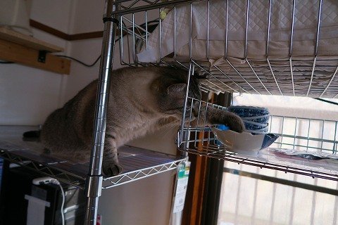 IMG_0888