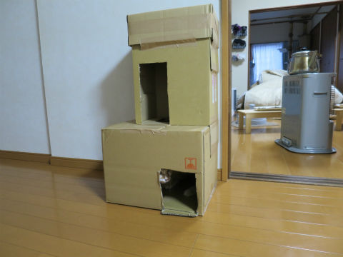008