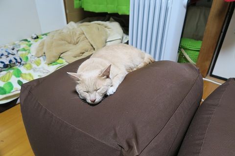 IMG_9522