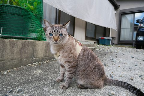 IMG_5503