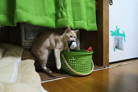 IMG_8489