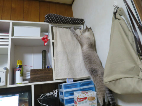 170