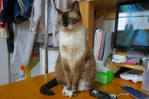 IMG_0015