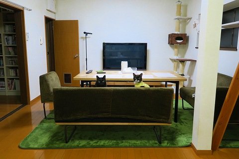 IMG_8697