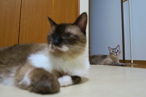 IMG_6705