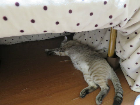 147