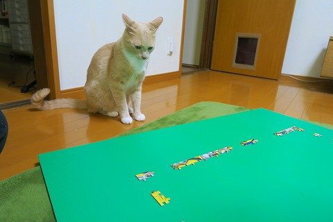 IMG_2581