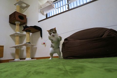 IMG_8933