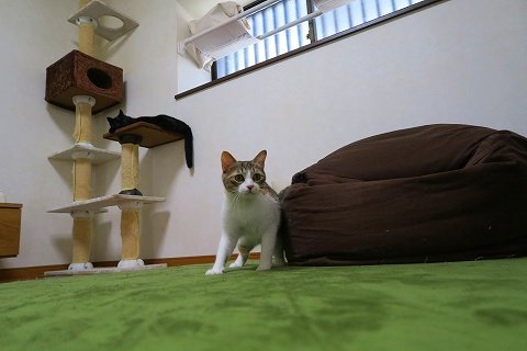 IMG_8935