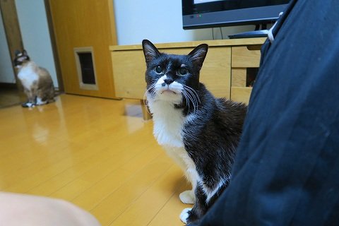 IMG_1593