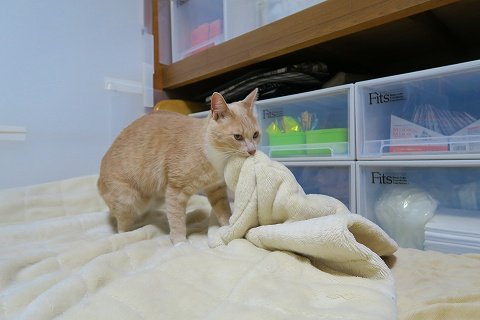 IMG_1858