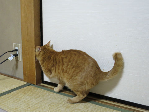 121