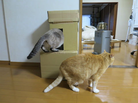 014