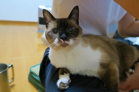 IMG_0040