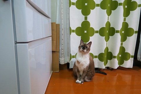 IMG_8672